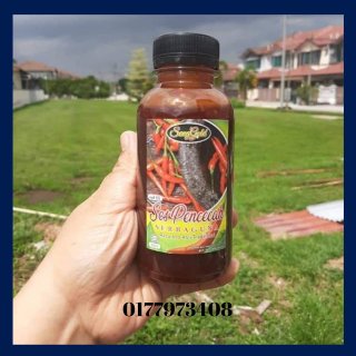 SangGold Frozen Food | Databook Malaysia