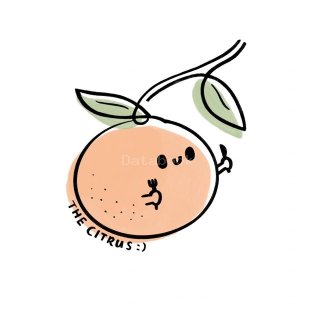 The Citrus cafe 栖柚 | Databook Malaysia