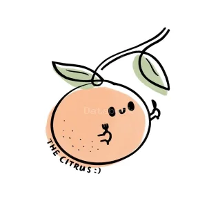 The Citrus cafe 栖柚 | Databook Malaysia