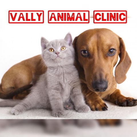 Vally Animal Clinic - Melaka | Databook Malaysia