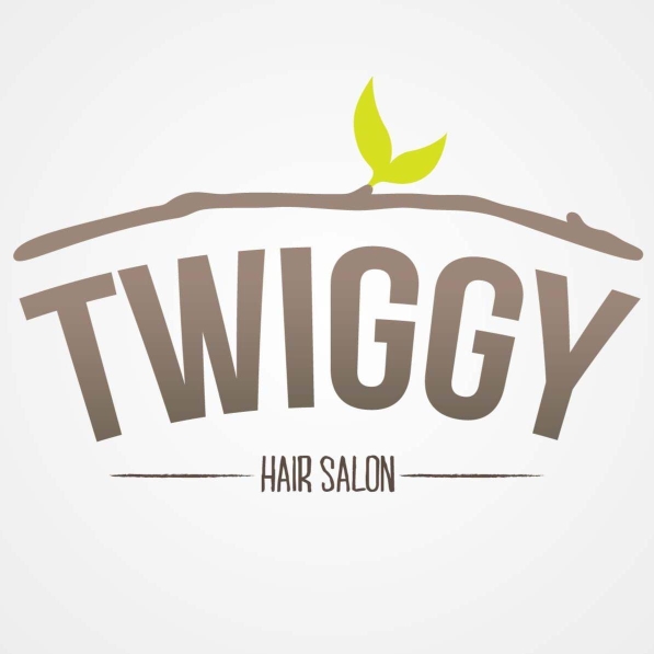 Twiggy Salon - Macalister | Databook Malaysia