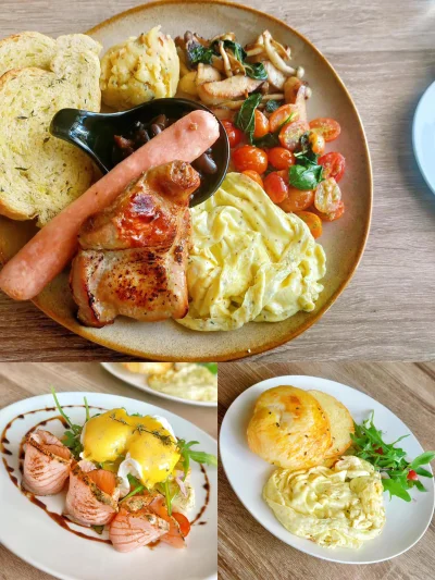 Branta & Geese | Databook Malaysia