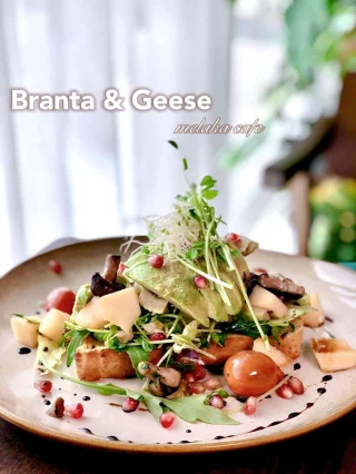 Branta & Geese | Databook Malaysia