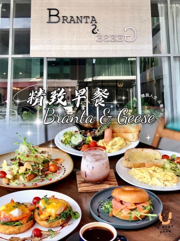 Branta & Geese | Databook Malaysia