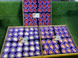 Nature's Harvest Valley 水菓之城 | Databook Malaysia