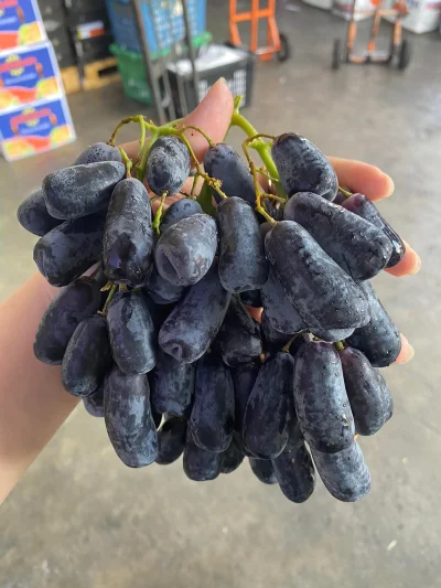 PL Poh Long Trading | Databook Malaysia