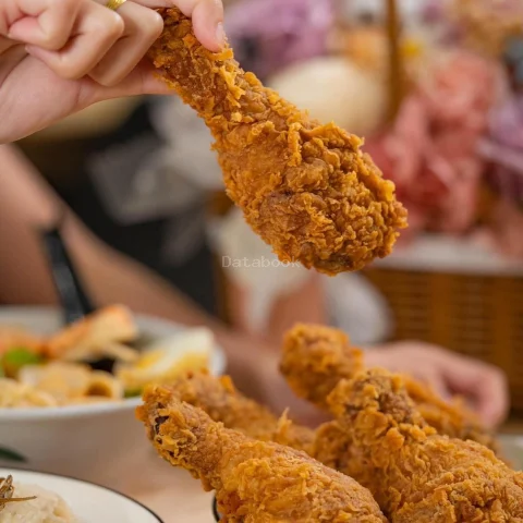 冰酷 ICE COOL | Databook Malaysia