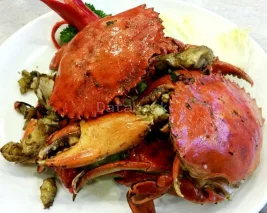 Hippo & Fish CoffeeTiam 河马茶室 | Databook Malaysia