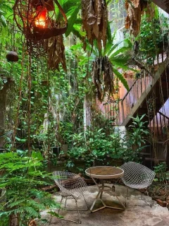 The Baboon House | Databook Malaysia