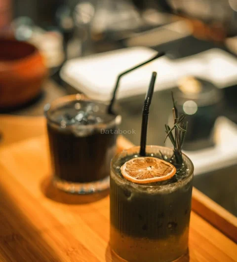 Nikkō & Yōryō | Databook Malaysia