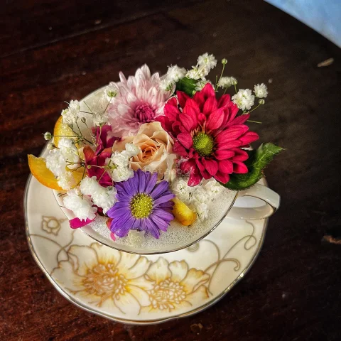 Locahouz | Databook Malaysia