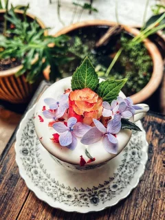 Locahouz | Databook Malaysia