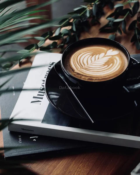 The Upper | Databook Malaysia