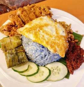 The WAU | Databook Malaysia