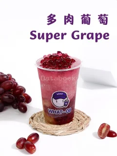 What-08 | Databook Malaysia