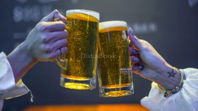 Anti Sober | Databook Malaysia