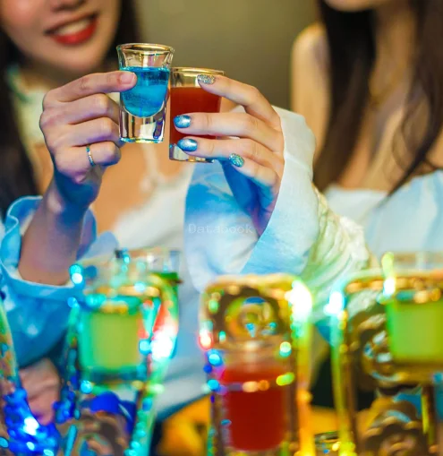 Anti Sober | Databook Malaysia