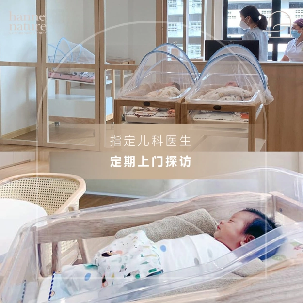 Hanne Nature Confinement Center 恒雅产后护理会所 | Databook Malaysia