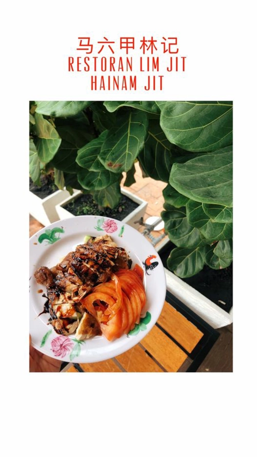 林记鸡粒饭Hainam Jit Chicken Rice | Databook Malaysia