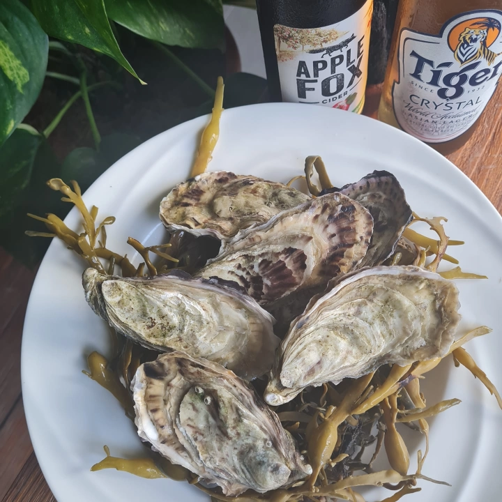 Branta & Geese | Databook Malaysia