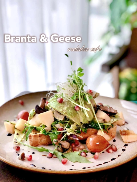 Branta & Geese | Databook Malaysia