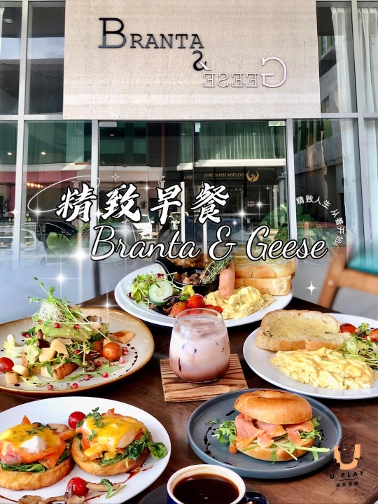 Branta & Geese | Databook Malaysia