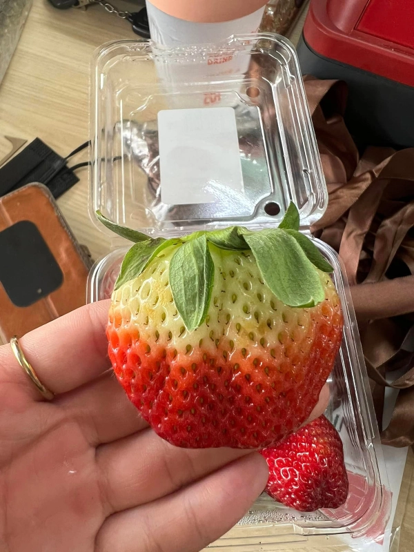 PL Poh Long Trading | Databook Malaysia