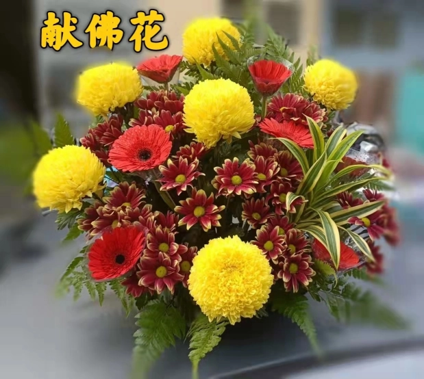 568花店 | Databook Malaysia