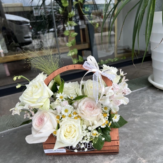 Freedom Floral | Databook Malaysia