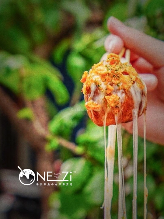 ONE_Zi章魚小丸子 | Databook Malaysia