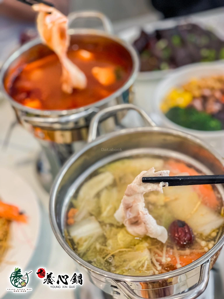 YOUNG Sanna Mee 養桑拿面 - Pavillion Bukit Jalil | Databook Malaysia