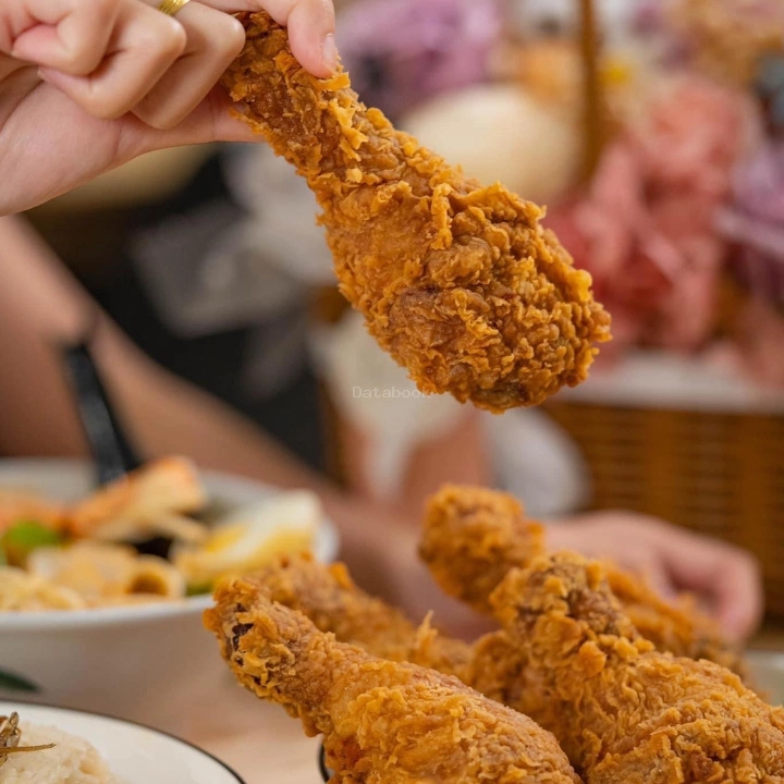 冰酷 ICE COOL | Databook Malaysia