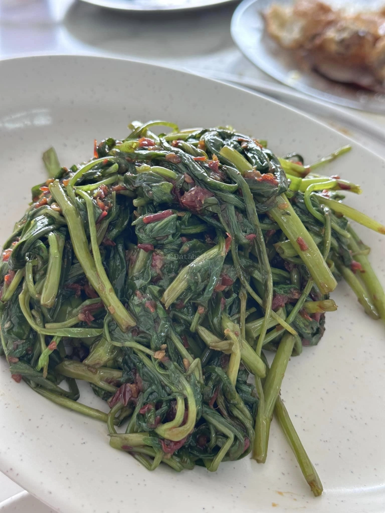 海洋吧冬亚叁鱼 Hai Yang Asam Pedas | Databook Malaysia