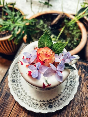 Locahouz | Databook Malaysia