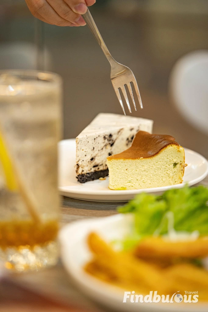 到！猫殿 Cat at palace house | Databook Malaysia