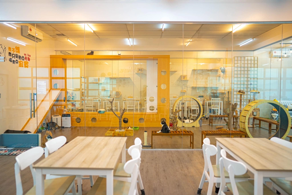 到！猫殿 Cat at palace house | Databook Malaysia