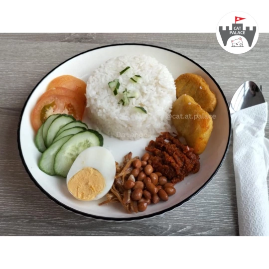 到！猫殿 Cat at palace house | Databook Malaysia