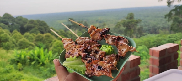 Joe Mountain Village 乔木山 | Databook Malaysia