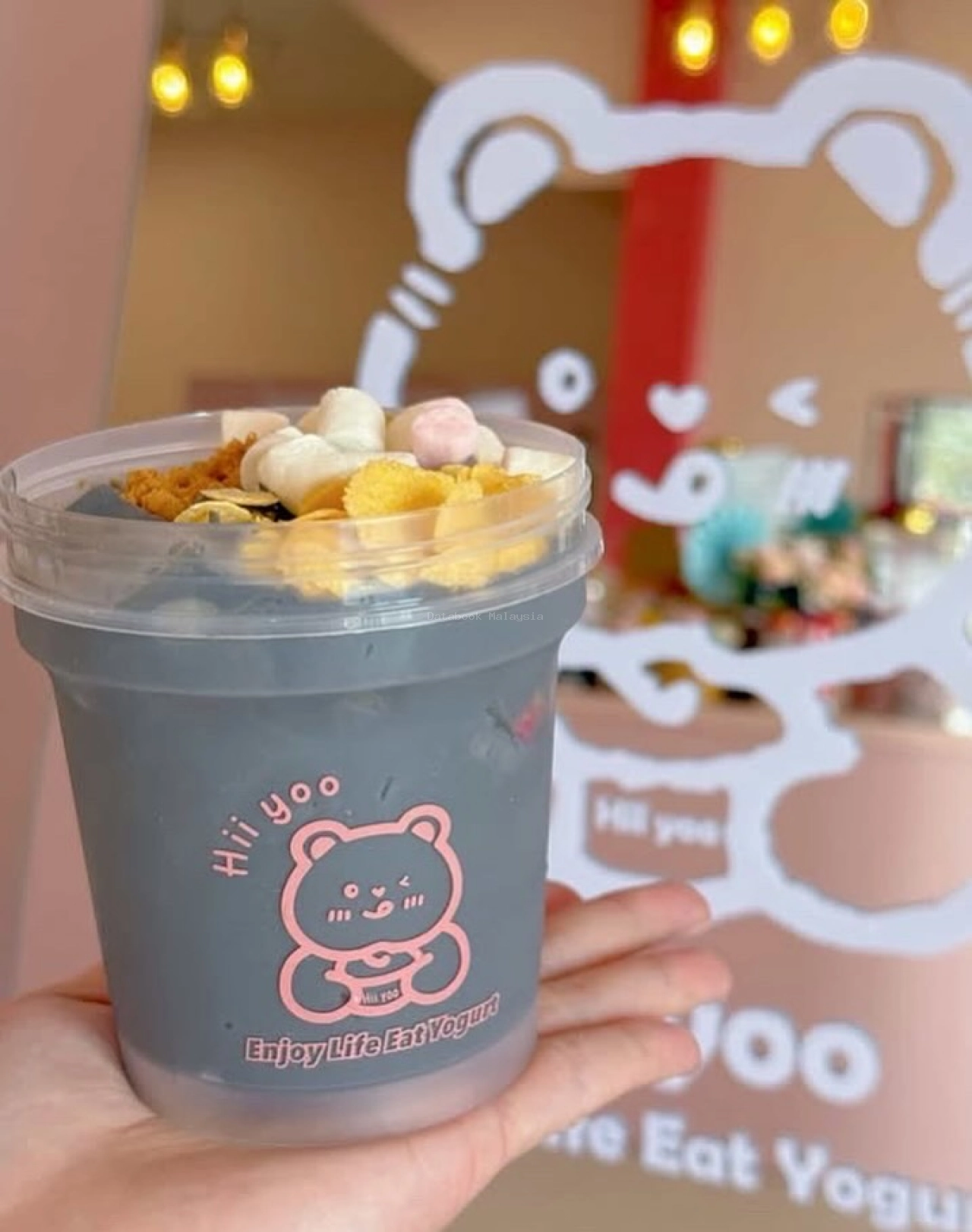 HiiYoo Yogurt | Databook Malaysia