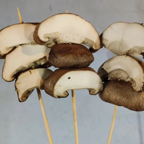 Dried Mushroom | FatDaddy Catering | Databook Malaysia