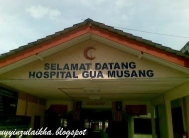 Hospital Gua Musang | Databook Malaysia
